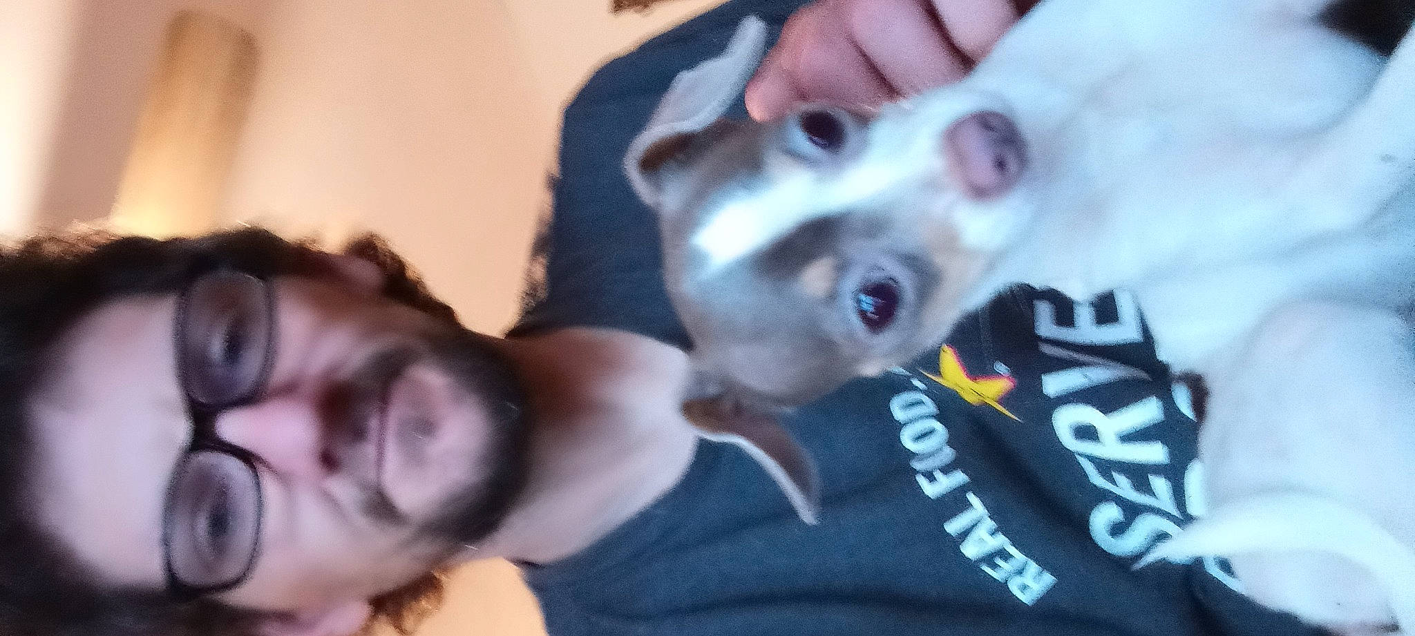 Princess Priscilla joined the competition — help win amazing prizes! black_hair, carnivore, companion_dog, dog, dog_breed, ear, event, eyelash, eyewear, fawn, flash_photography, gesture, happy, jaw, mouth, nose, snout, t_shirt, vertebrate, whiskers