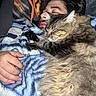 cat, person, sleeping, blanket, cozy, fur, tabby_cat, resting, indoor, hand, close_up, comfort, pet, warm, nap, cuddle, face, soft, relaxed, furry