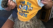 Loki is registered to the contest to win money with this photo: cat, tabby_cat, pet, animal, fur, clothing, shirt, person, hands, indoor, couch, seated, cute, funny, expression, holding, text, yellow_shirt, domestic_animal, closeup