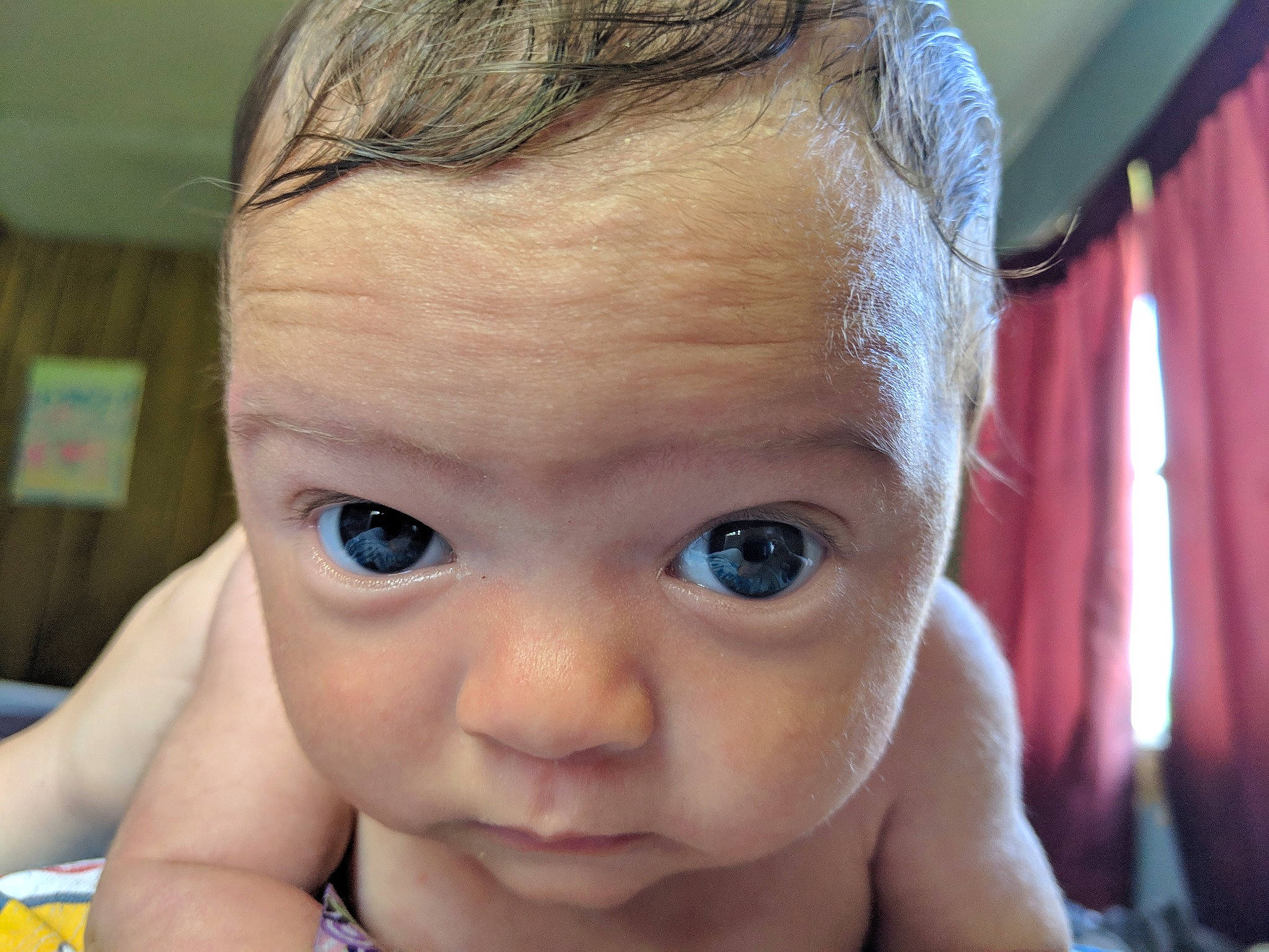 Novali joined the competition — help win amazing prizes! baby, beauty, cheek, child, chin, close_up, eye, eyebrow, face, facial_expression, forehead, hair, hairstyle, head, iris, lip, nose, organ, person, skin