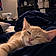 Nala