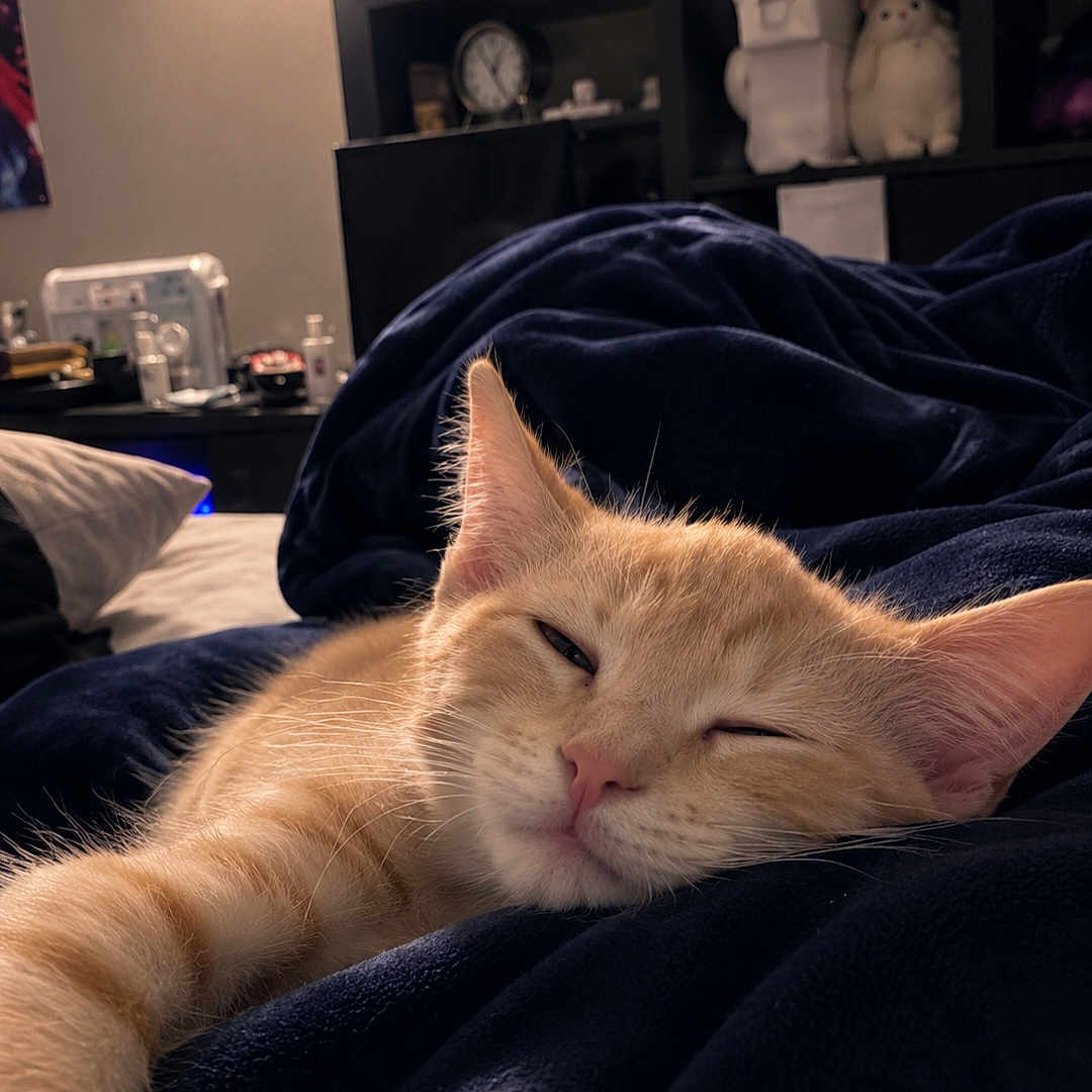 Nala