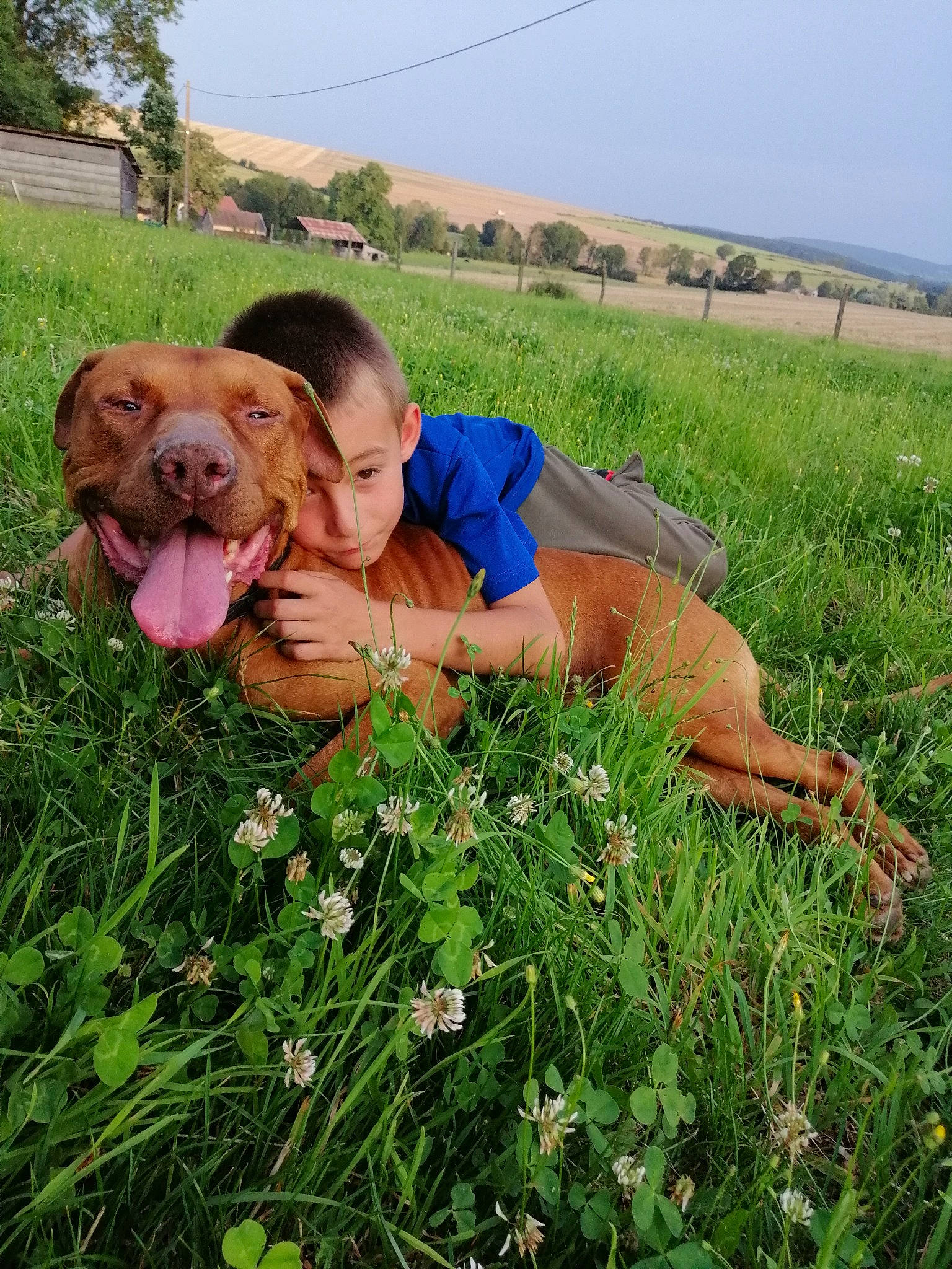 Ayron a rejoint le concours — aidez-le/la à gagner de superbes lots ! agriculture, carnivore, companion_dog, dog, dog_breed, face, field, grass, grassland, groundcover, happy, landscape, liver, meadow, pasture, people_in_nature, plant, prairie, sky, soil