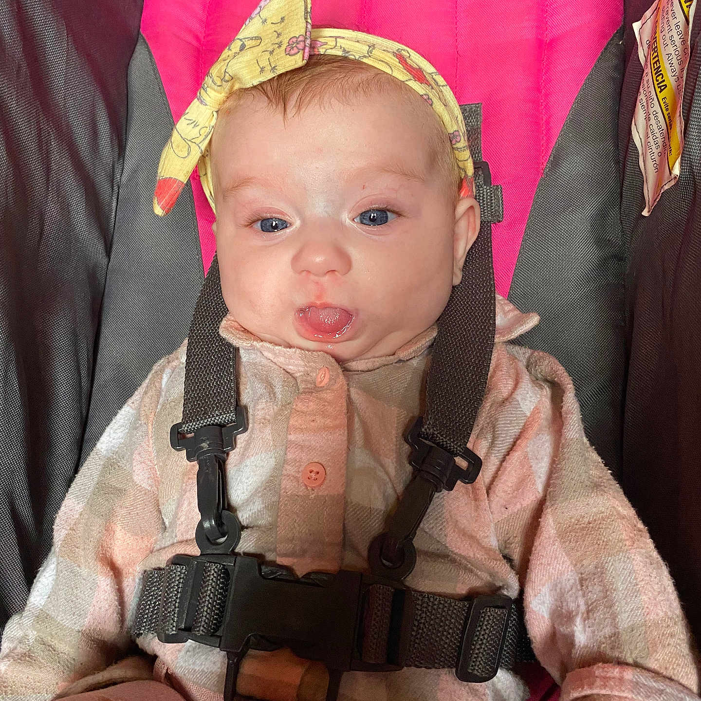 Allie joined the competition — help win amazing prizes! apparel, baby, car_seat, child, clothing, cute, expression, face, gray, headband, human, indoors, infant, pink, portrait, seatbelt, sitting, straps, tongue, young