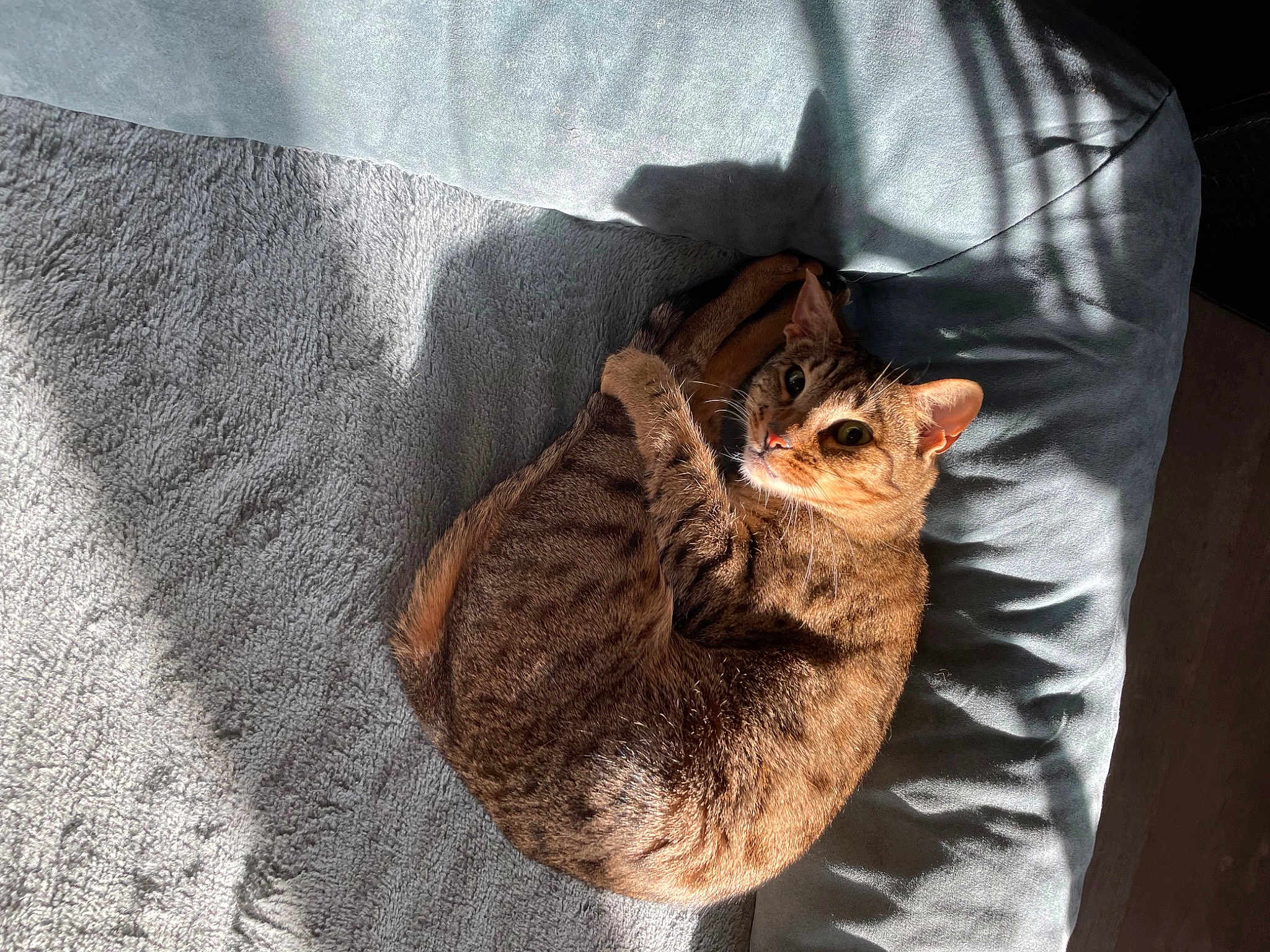 Mae