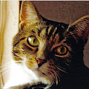 Spirou a rejoint le concours — aidez-le/la à gagner de superbes lots !