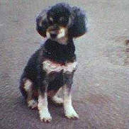 Sarah participe au concours pour gagner de l'argent avec cette photo :