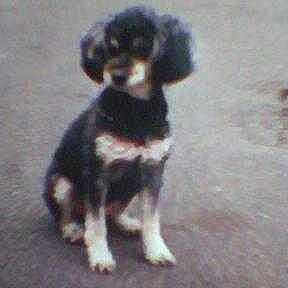 Sarah participe au concours pour gagner de l'argent avec cette photo :