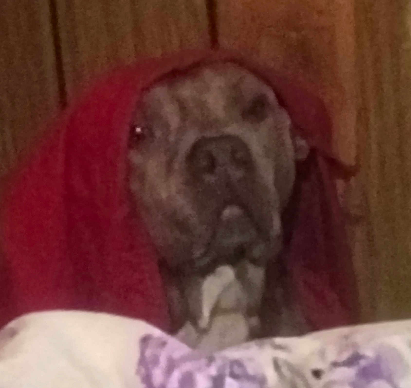 Loca