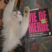 Boul participe au concours pour gagner de l'argent avec cette photo :