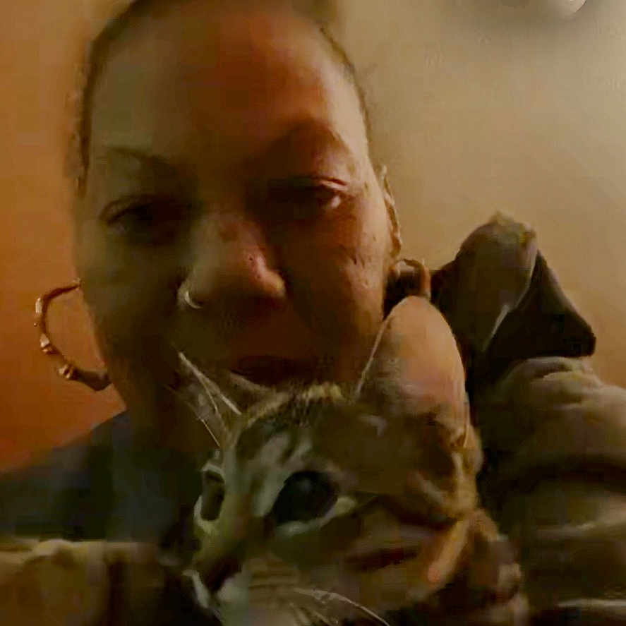 Princess joined the competition — help win amazing prizes! background, blurred, casual, cat, close_up, curious, dim_lighting, earrings, expression, face, feline, holding, indoor, mirror, nose_ring, person, portrait, selfie, tabby_cat, whiskers