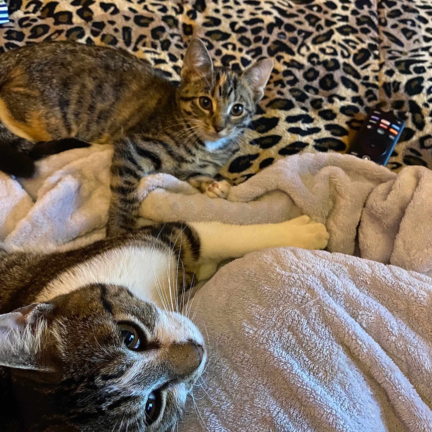 Geezy And Nala