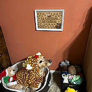 Trésor participe au concours pour gagner de l'argent avec cette photo : animal, brown_wall, carpet, costume, cozy, cute, decor, dog, dog_bed, holiday, home, indoor, pet, pet_bed, plush, reindeer, soft_toy, stuffed_toy, toy_box, wall_sign
