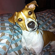 Dipsy participe au concours pour gagner de l'argent avec cette photo :