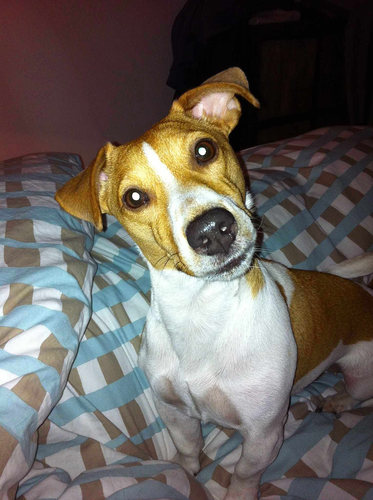 Dipsy participe au concours pour gagner de l'argent avec cette photo :