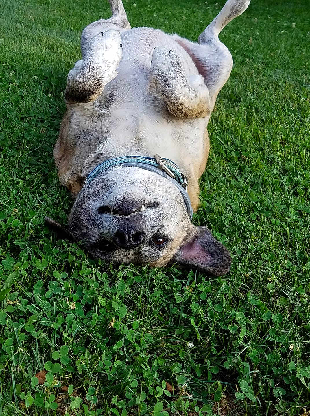 Max