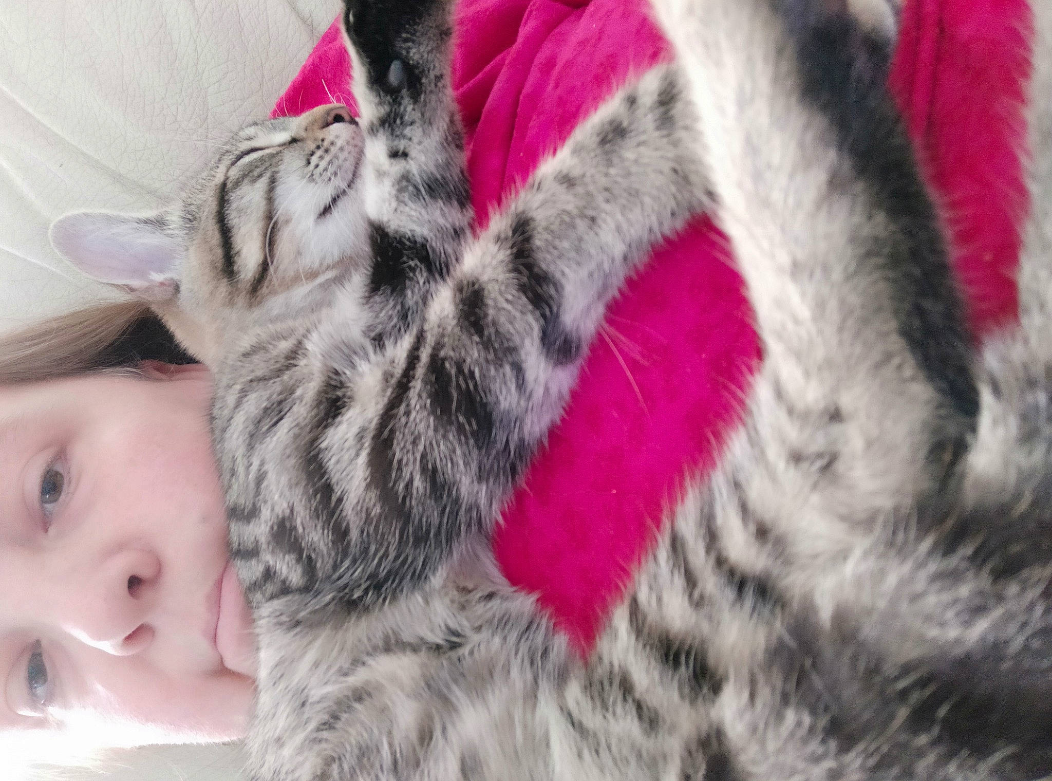 Socquette participe au concours pour gagner de l'argent avec cette photo : carnivore, cat, close_up, comfort, domestic_short_haired_cat, fawn, felidae, fur, grey, mammal, nail, pattern, paw, pink, small_to_medium_sized_cats, snout, tail, textile, vertebrate, whiskers