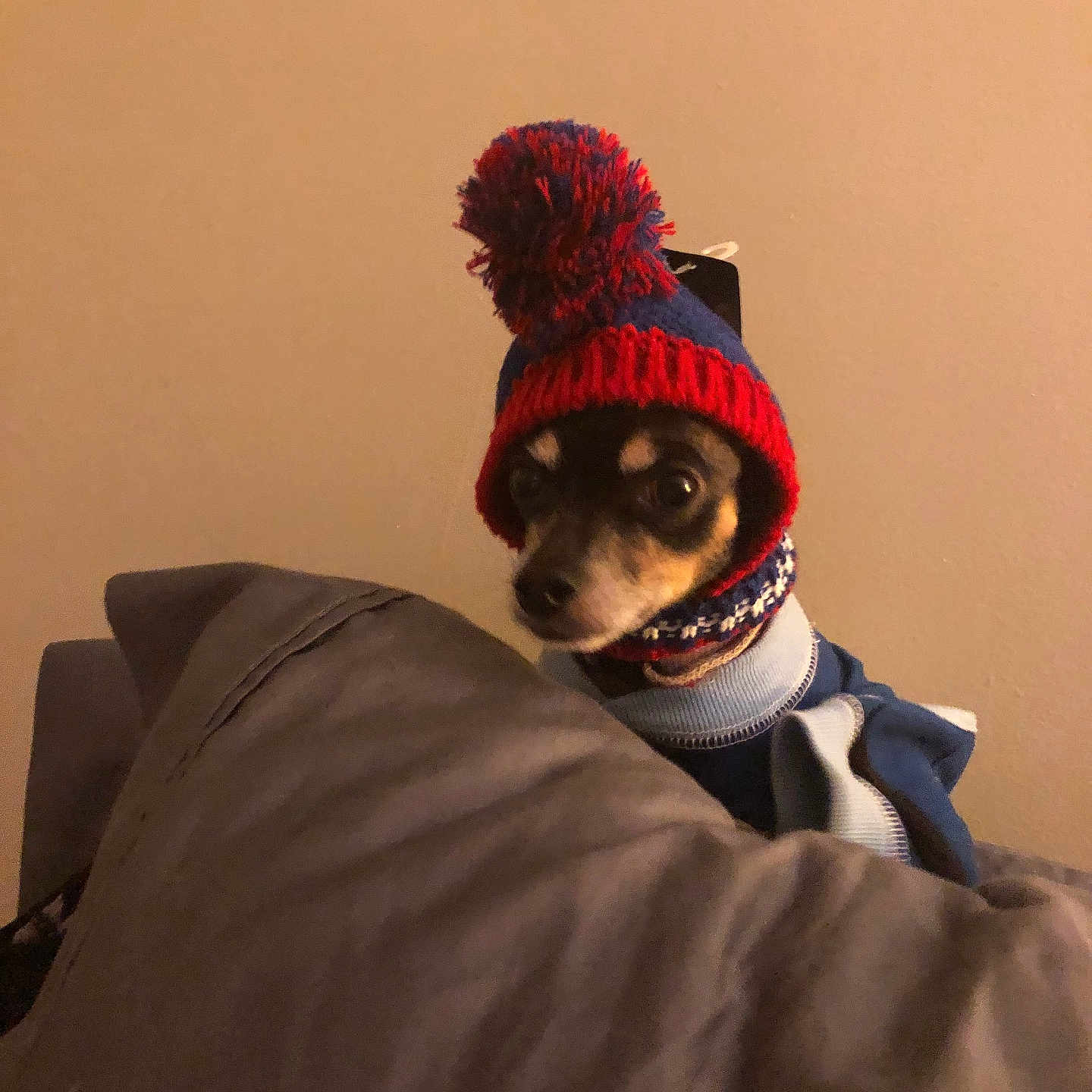 Otto
