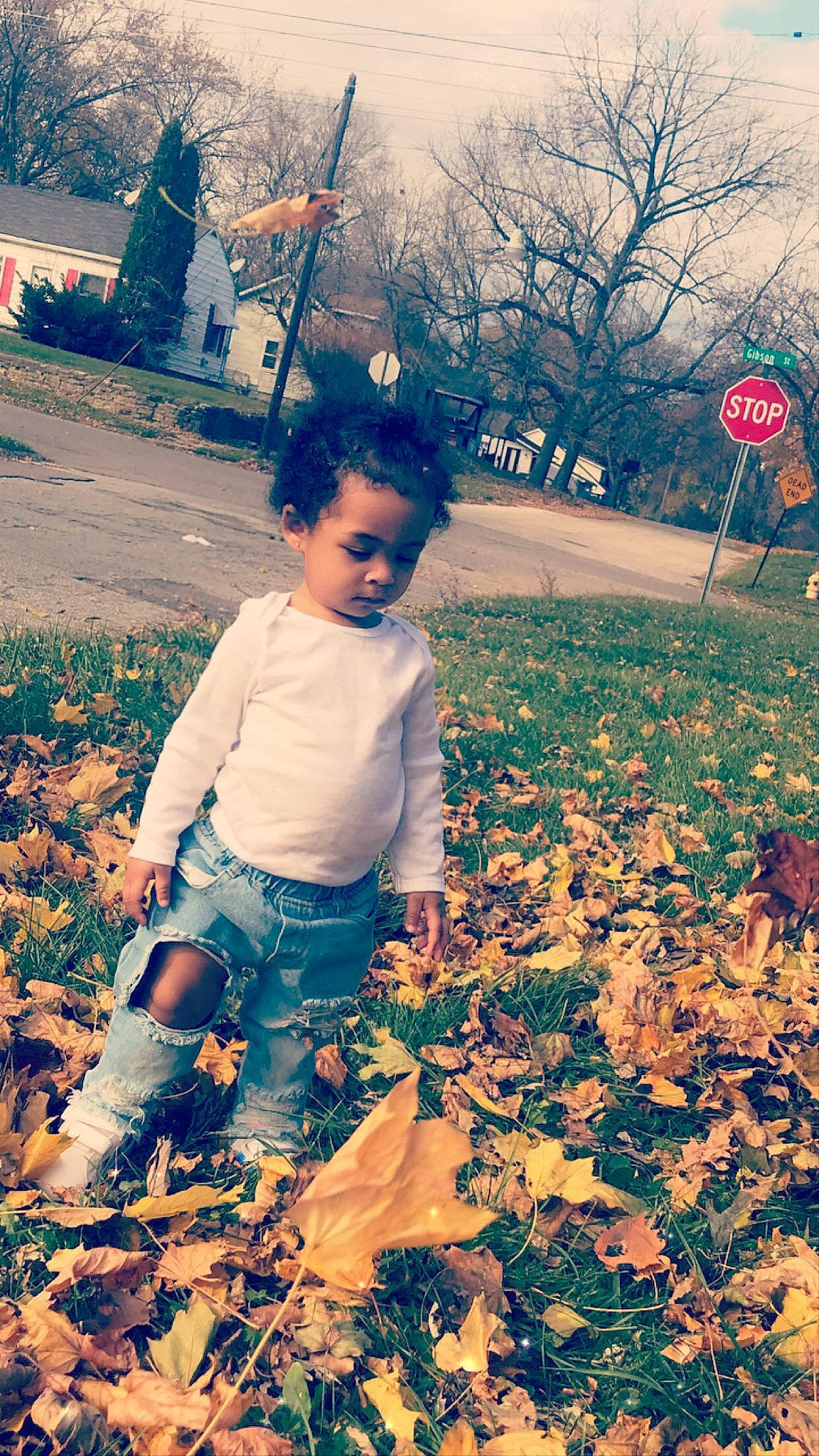 Israel joined the competition — help win amazing prizes! beauty, branch, child, cool, deciduous, fun, grass, happy, leaf, morning, nature, orange, people_in_nature, person, plant, sky, standing, sunlight, tints_and_shades, toddler