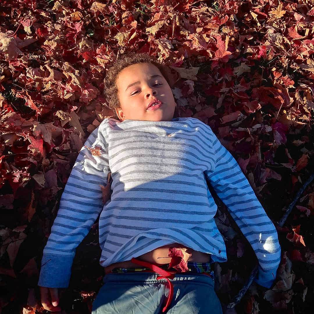 Conner joined the competition — help win amazing prizes! autumn, beauty, child, child_model, cool, jeans, leaf, outerwear, person, photography, plant, portrait, portrait_photography, red, sitting, sky, smile, tree
