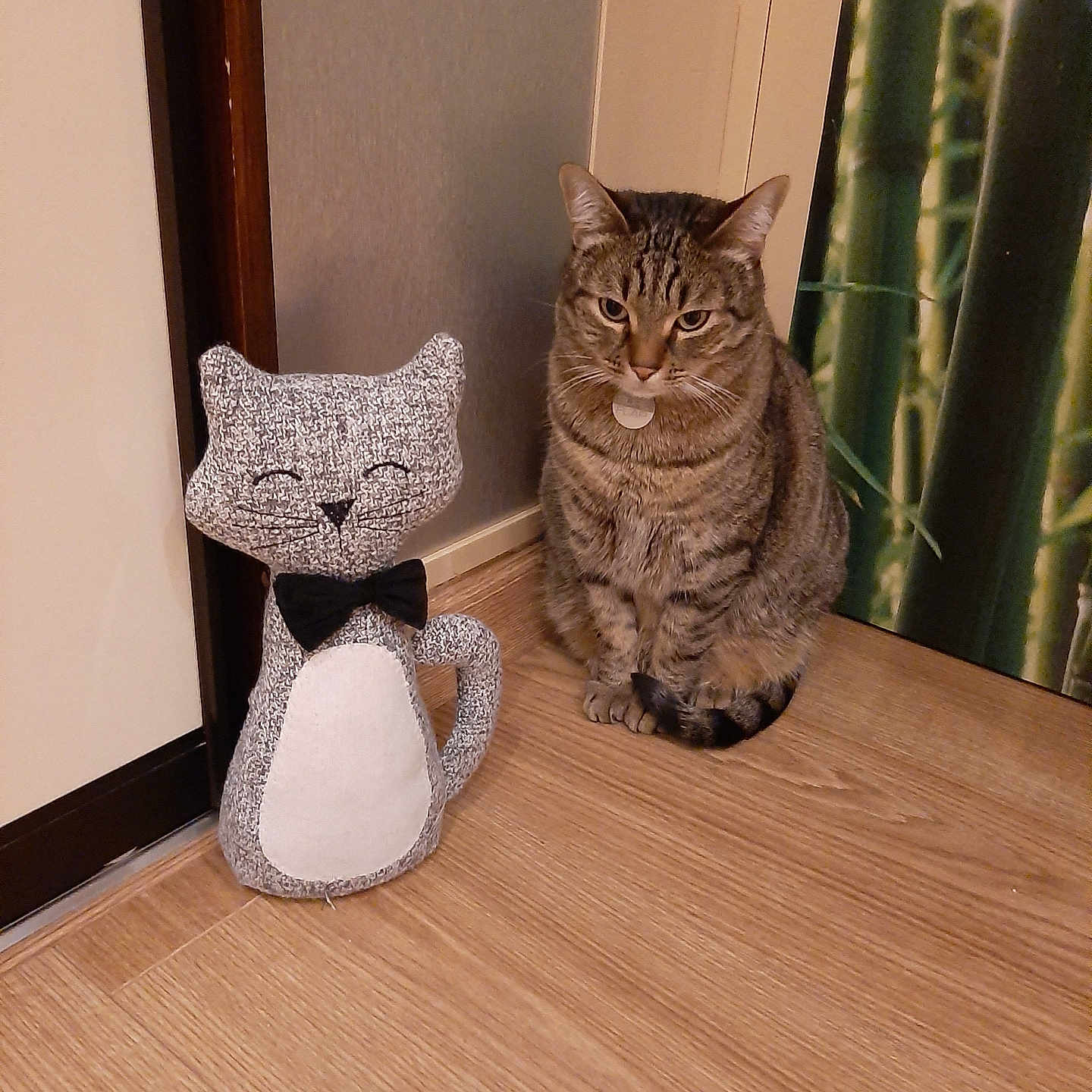 Mowgli a rejoint le concours — aidez-le/la à gagner de superbes lots ! animal, bamboo_wallpaper, bow_tie, companion, cute, decor, domestic_cat, feline, flooring, house, indoor, knitted_cat, pet, relaxed, sitting, striped_cat, stuffed_toy, tabby_cat, wall, wooden_floor