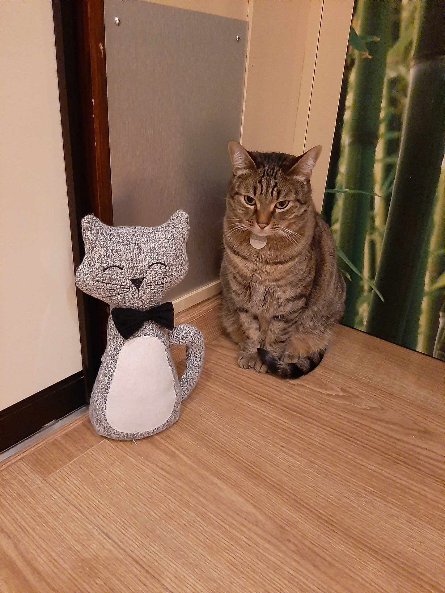 Mowgli a rejoint le concours — aidez-le/la à gagner de superbes lots ! tabby_cat, knitted_cat, stuffed_toy, bow_tie, wooden_floor, indoor, wall, bamboo_wallpaper, pet, animal, feline, decor, sitting, cute, companion, domestic_cat, striped_cat, flooring, relaxed, house