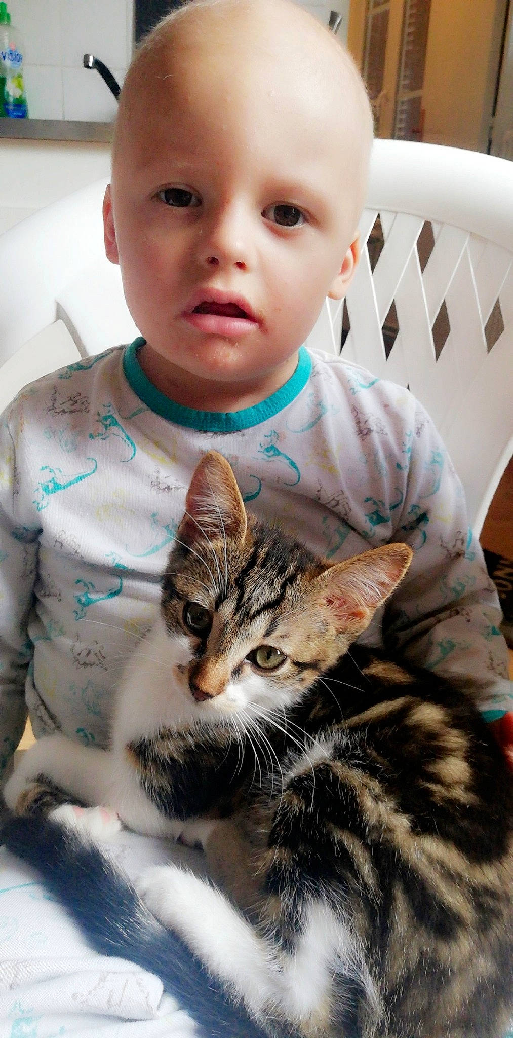 Nohame participe au concours pour gagner de l'argent avec cette photo : american_shorthair, asian, carnivore, cat, cheek, child, domestic_short_haired_cat, dragon_li, ear, european_shorthair, felidae, kitten, nose, person, small_to_medium_sized_cats, tabby_cat, whiskers