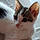 Amy