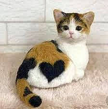 Doodle joined the competition — help win amazing prizes! aegean_cat, american_wirehair, asian, carnivore, cat, domestic_short_haired_cat, european_shorthair, fawn, felidae, fur, japanese_bobtail, kitten, mammal, munchkin, polydactyl_cat, scottish_fold, small_to_medium_sized_cats, tabby_cat, tail, whiskers