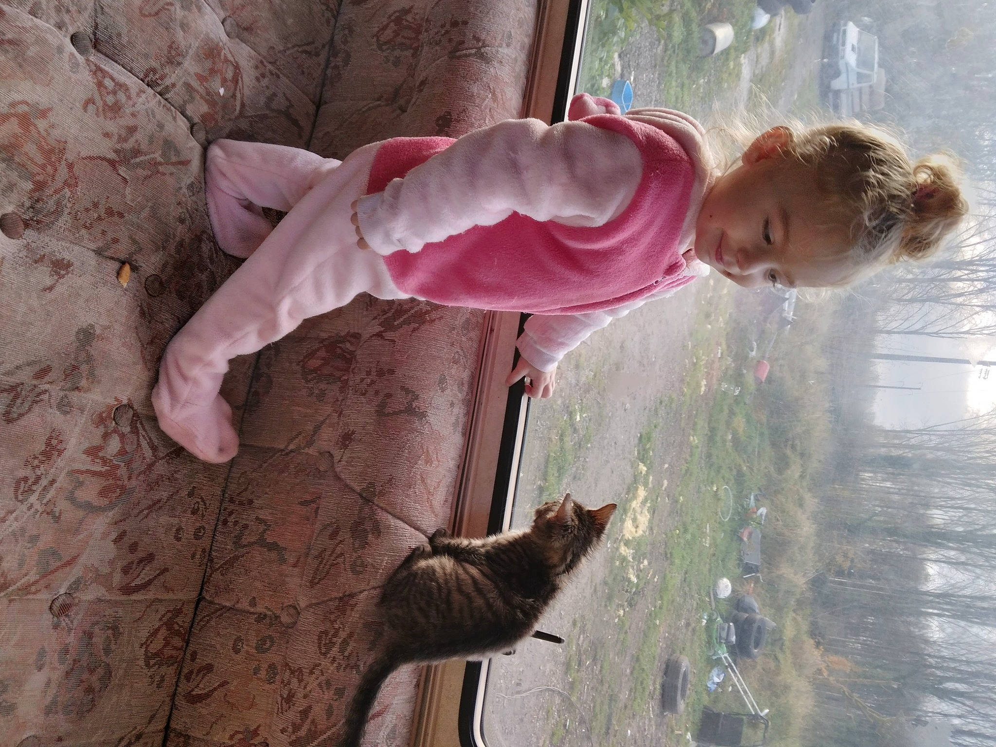 Laïa participe au concours pour gagner de l'argent avec cette photo : cat, domestic_short_haired_cat, fawn, felidae, fun, grass, happy, head, leisure, person, photograph, pink, plant, small_to_medium_sized_cats, tail, toddler, tree, water, whiskers, window