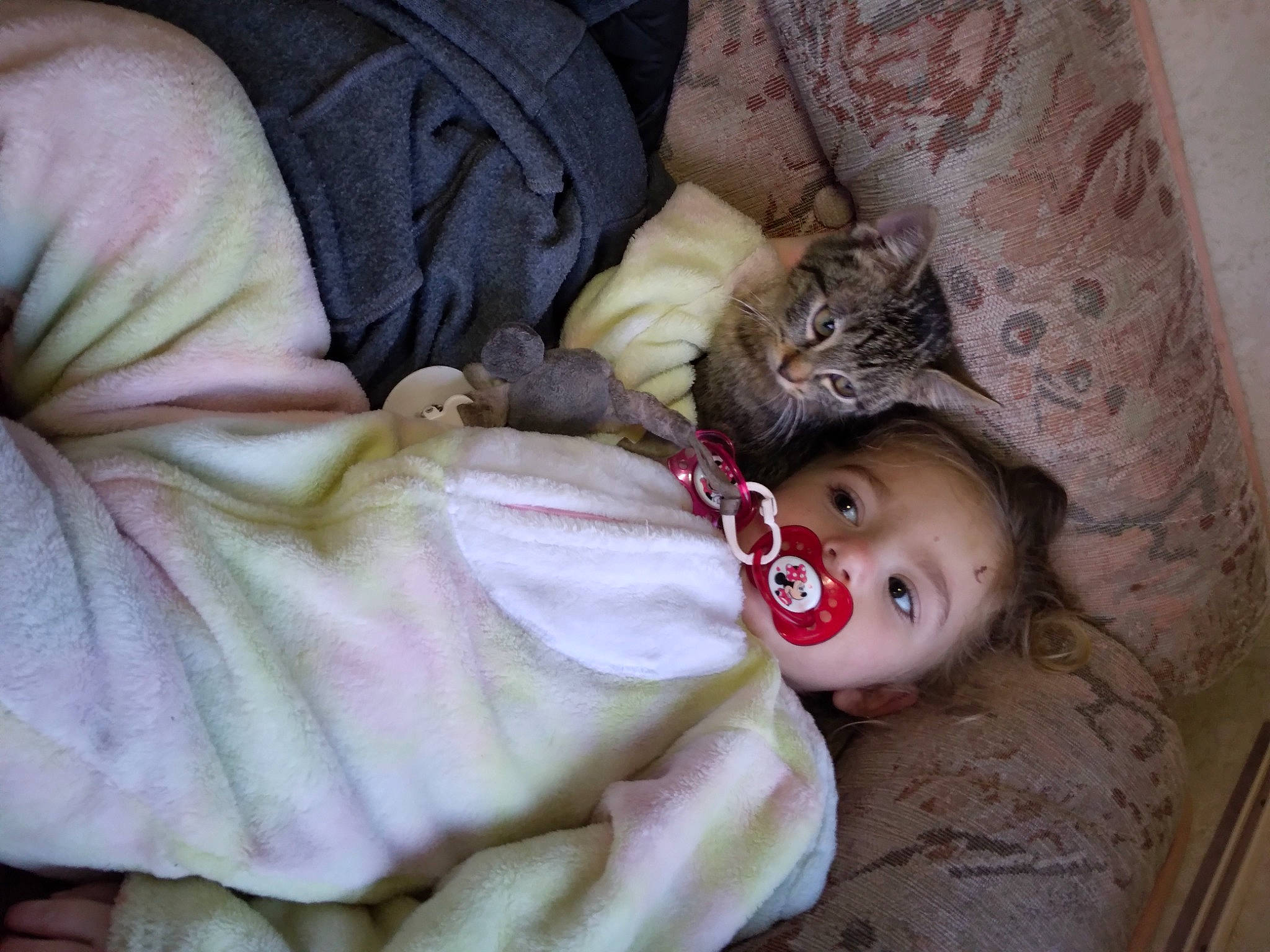 Laïa a rejoint le concours — aidez-le/la à gagner de superbes lots ! baby, baby_toddler_clothing, cat, cheek, child, comfort, doll, eye, fawn, felidae, fur, head, leg, linens, nose, person, skin, textile, toddler, toy