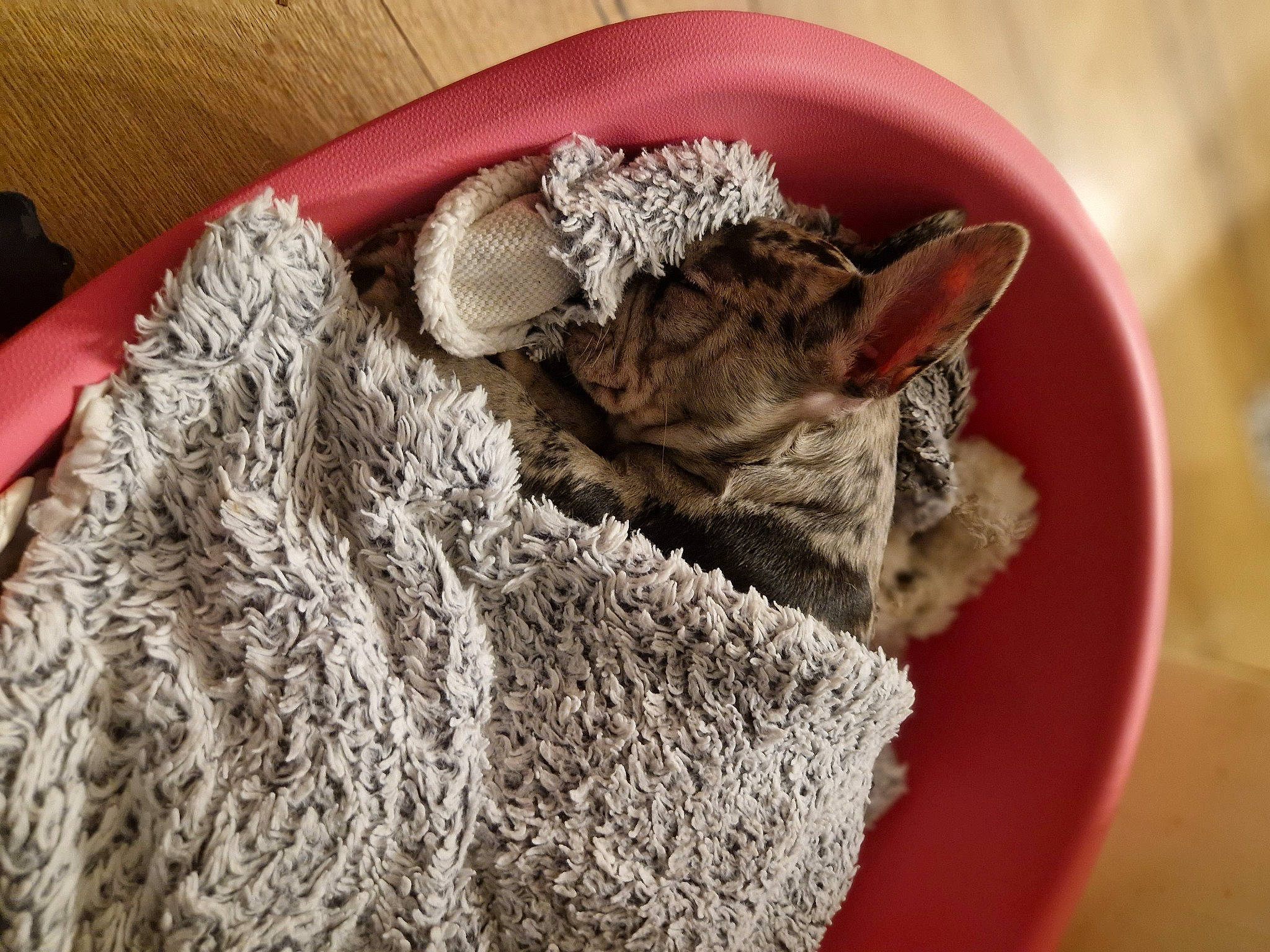 Ohana a rejoint le concours — aidez-le/la à gagner de superbes lots ! art, cap, craft, crochet, doily, fashion_accessory, fawn, fur, gunny_sack, hat, linens, needlework, pattern, petal, sleeve, sun_hat, thread, wool, woolen, woven_fabric