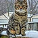 Tiggy
