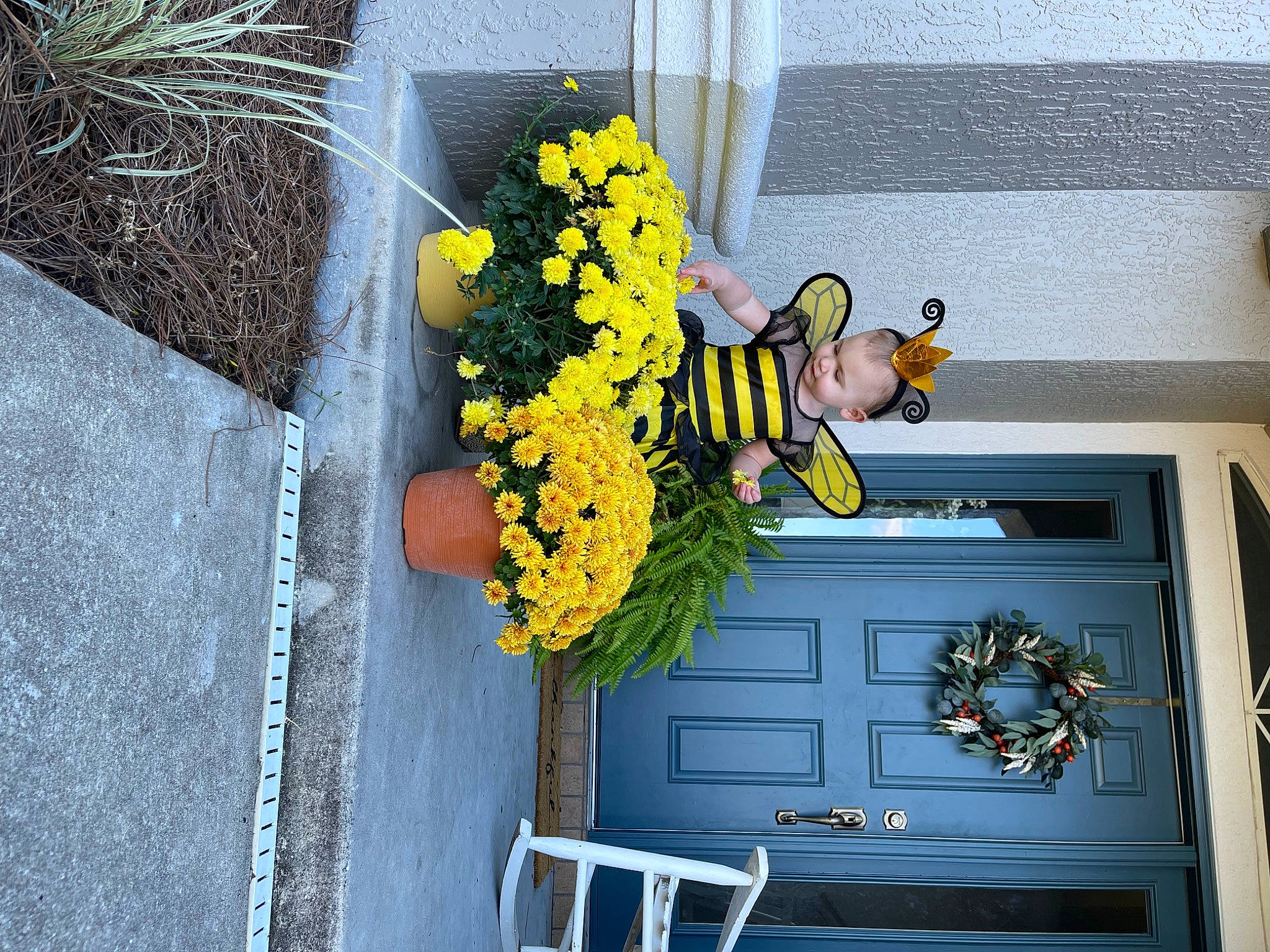 Everley joined the competition — help win amazing prizes! annual_plant, blue, cabinetry, chair, cut_flowers, door, facade, floral_design, flower, flower_arranging, flowerpot, home_door, houseplant, person, petal, plant, rectangle, wall, window, wood