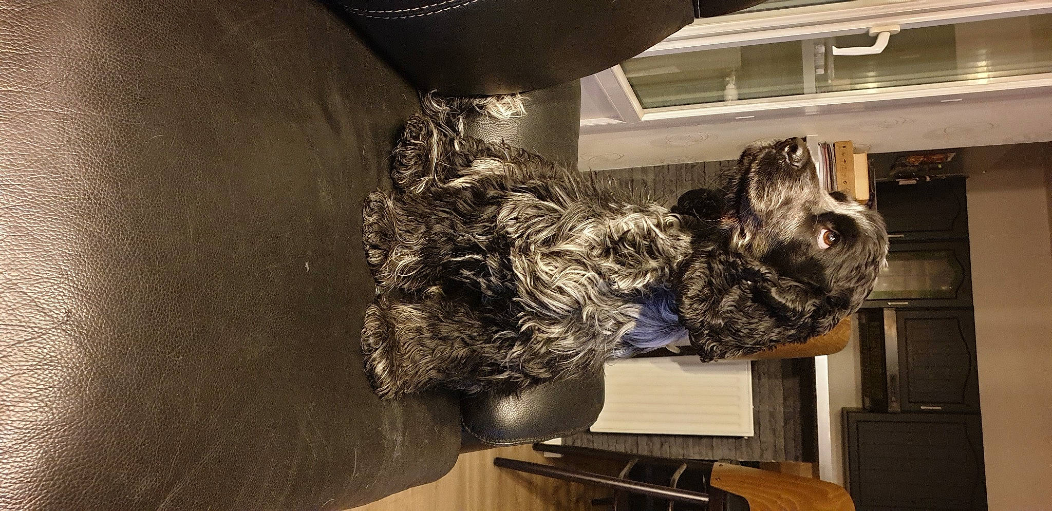 Olaf participe au concours pour gagner de l'argent avec cette photo : art, big_cats, bronze, canidae, felidae, fun, fur, machine, metal, military, military_camouflage, room, sculpture, space, sporting_group, statue, tourist_attraction, tree, visual_arts, wood