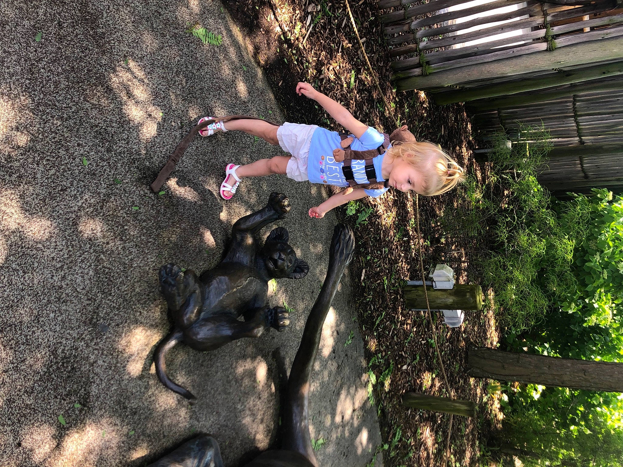 Ella-mae is registered to the contest to win money with this photo: adventure, fun, leisure, person, plant, recreation, tree