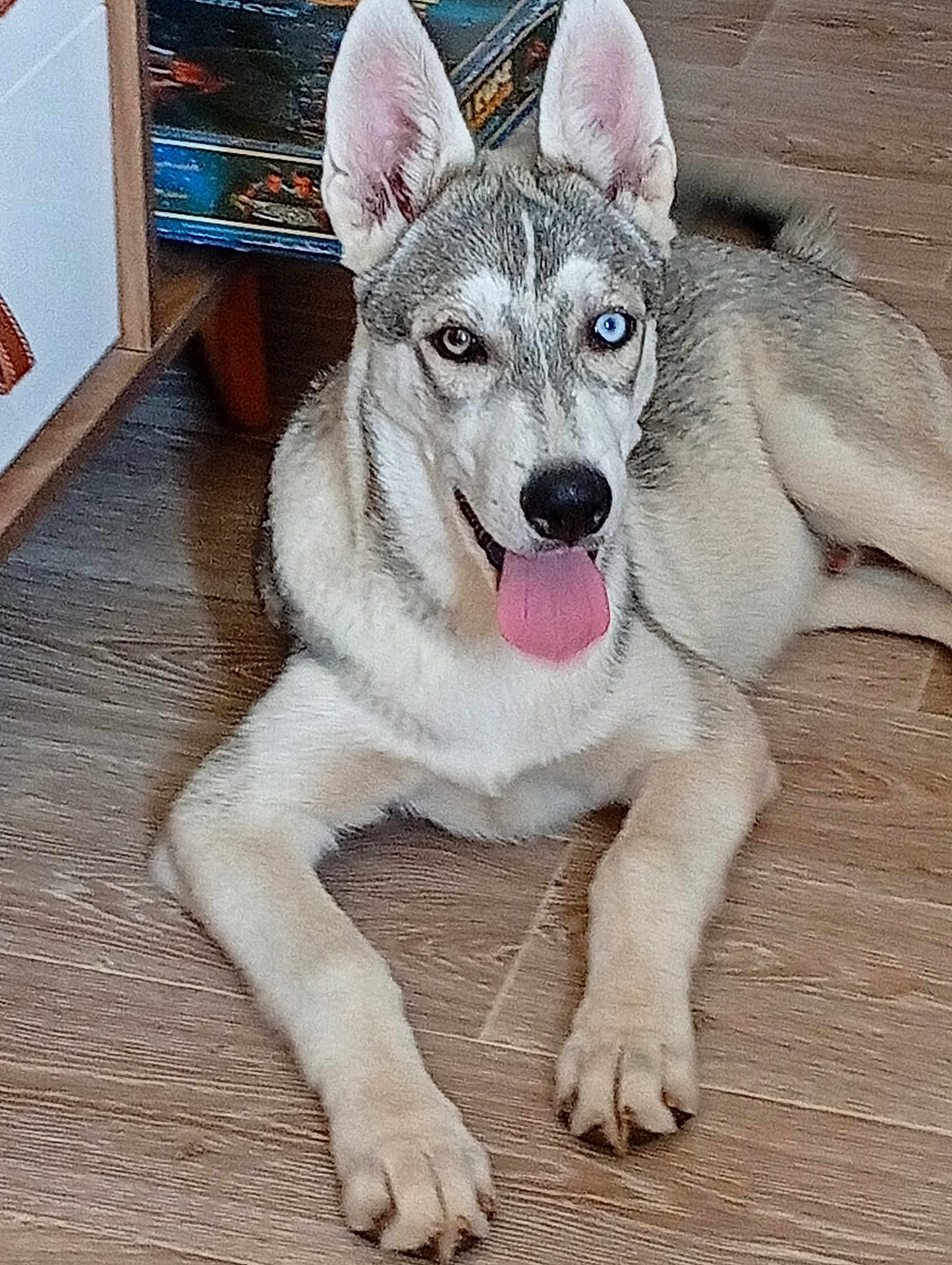 Aiko