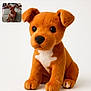 Ango participe au concours pour gagner de l'argent avec cette photo : animal, background, big_eyes, brown, companion, couch, cute, dog, furry, indoor, pet, plush_toy, portrait, real_dog, sitting, small_inset_photo, soft_texture, stuffed_animal, toy, white_patch