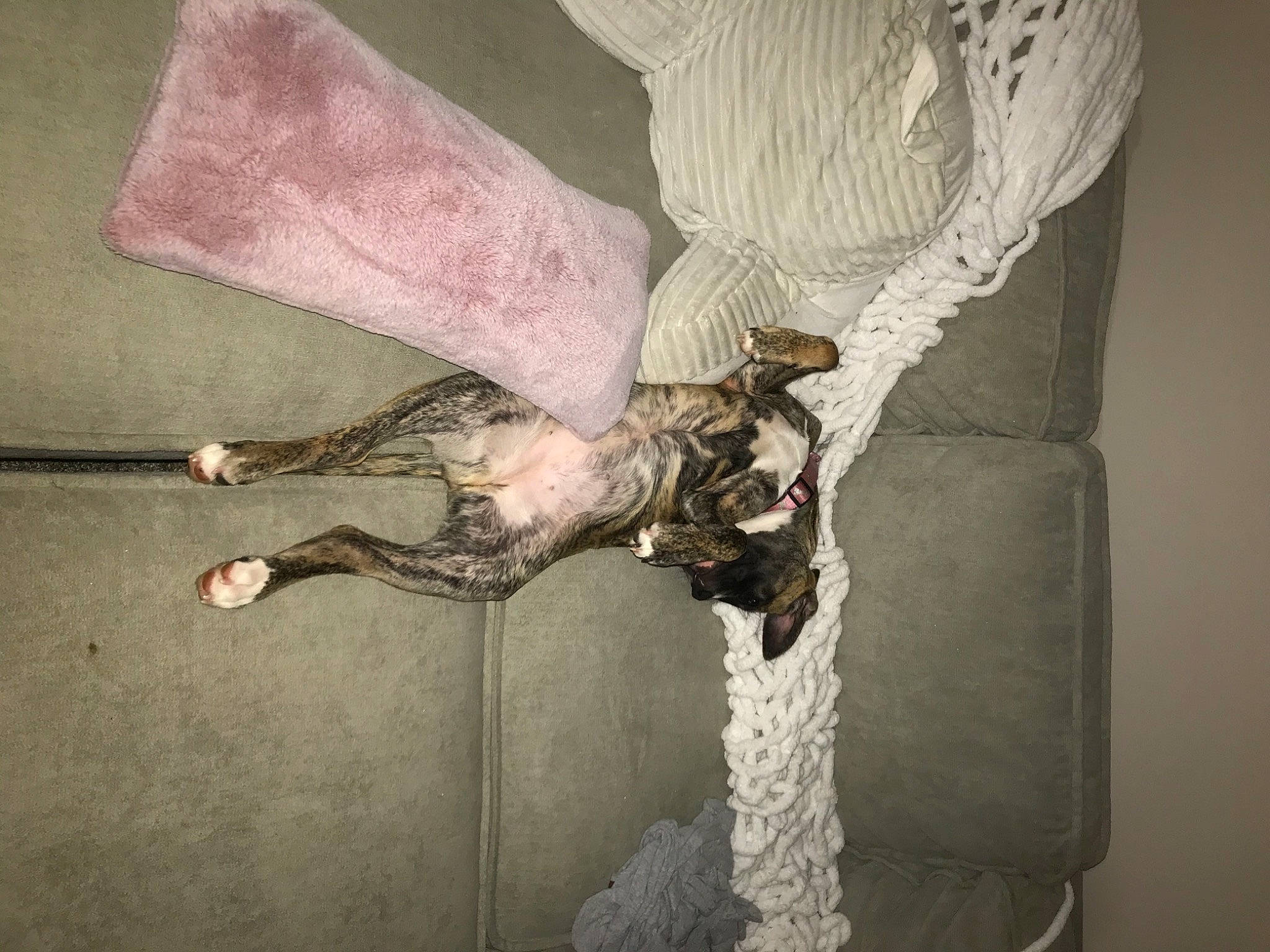 Pooh is registered to the contest to win money with this photo: art, artifact, bat, cross, flesh, fur, grey, human_leg, linens, plaster, religious_item, room, symbol, tail, trunk, twig, visual_arts, wing, wood, wrist