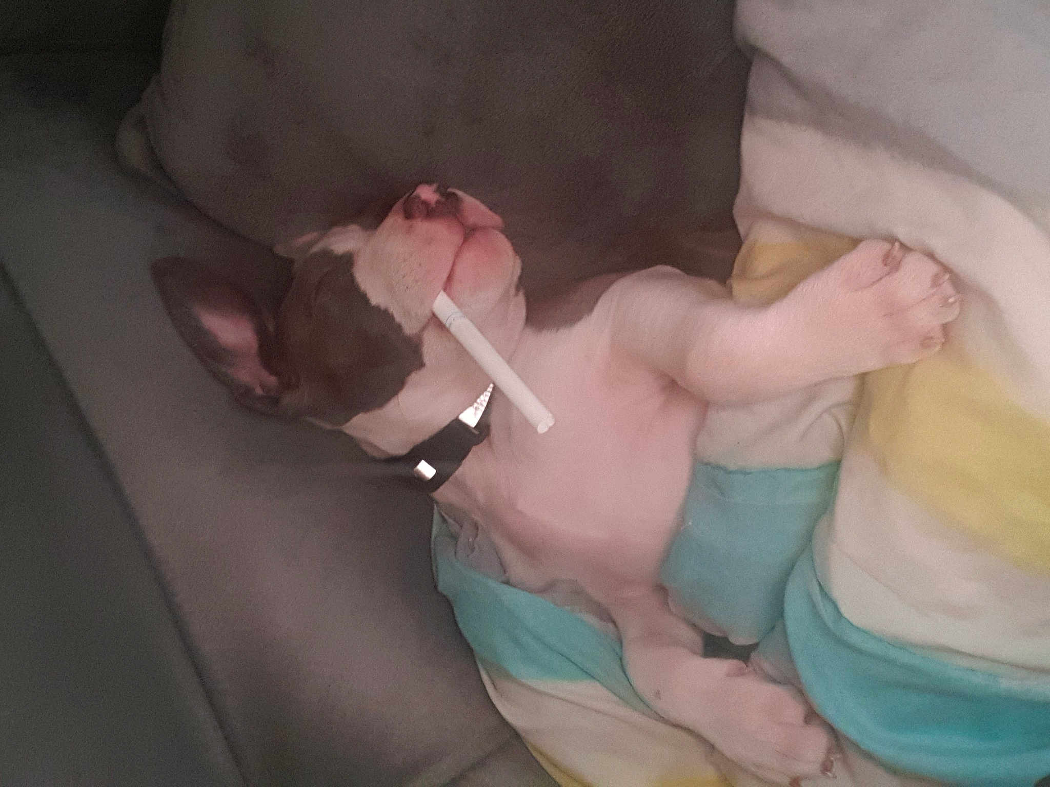 Tyson
