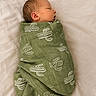 newborn, baby, sleeping, wrapped, blanket, green, cactus_pattern, infant, peaceful, soft, white_background, portrait, closeup, cute, resting, child, indoors, cozy, swaddled, sleep