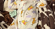 Jagger is registered to the contest to win money with this photo: newborn, baby, sleeping, onesie, winnie_the_pooh, pacifier, blanket, cow_pattern, soft, cozy, infant, cute, clothing, resting, child, portrait, indoors, peaceful, small, person