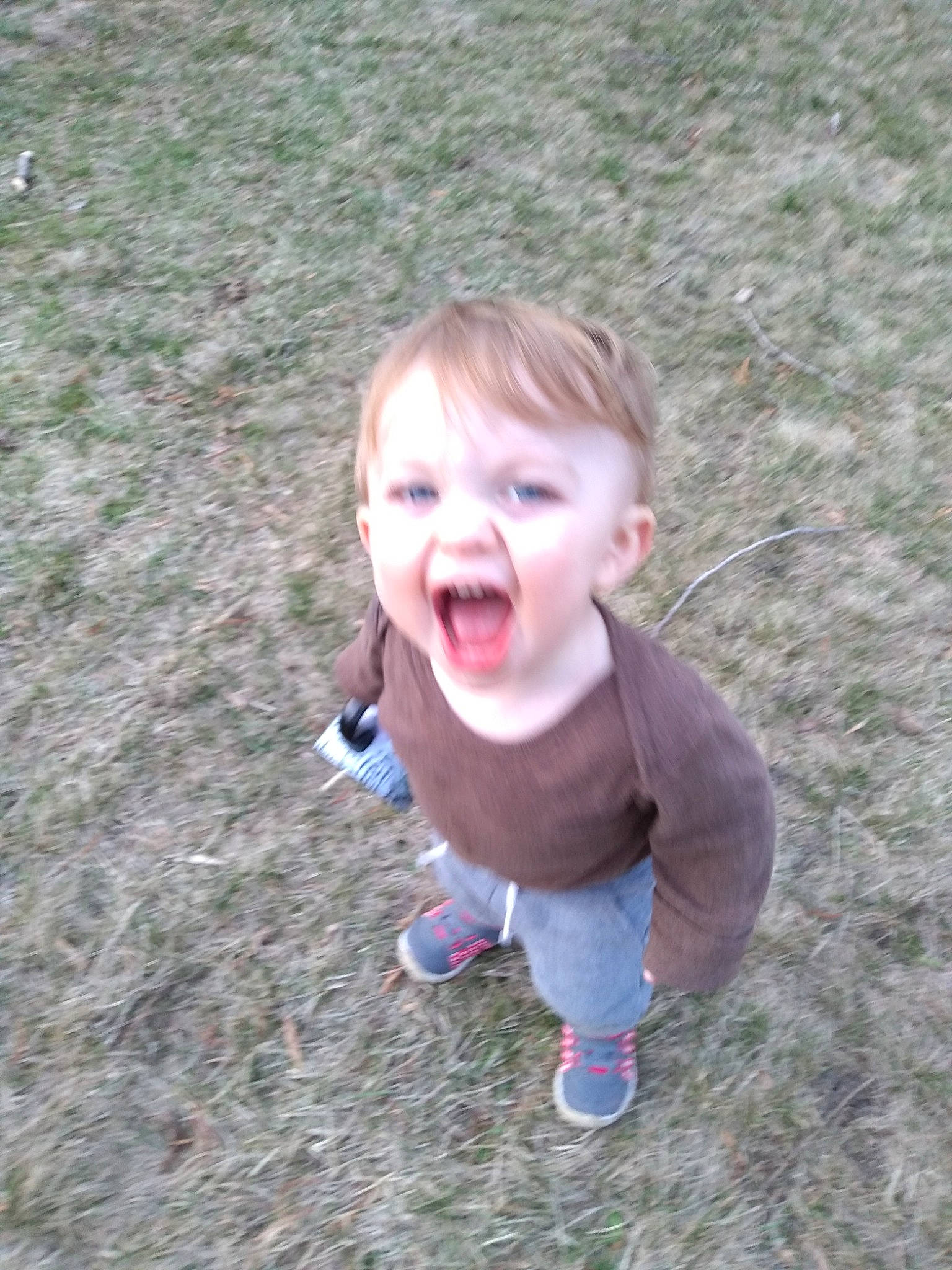 Dresden joined the competition — help win amazing prizes! baby, child, facial_expression, fun, grass, happy, laugh, lawn, person, play, smile, toddler, tooth