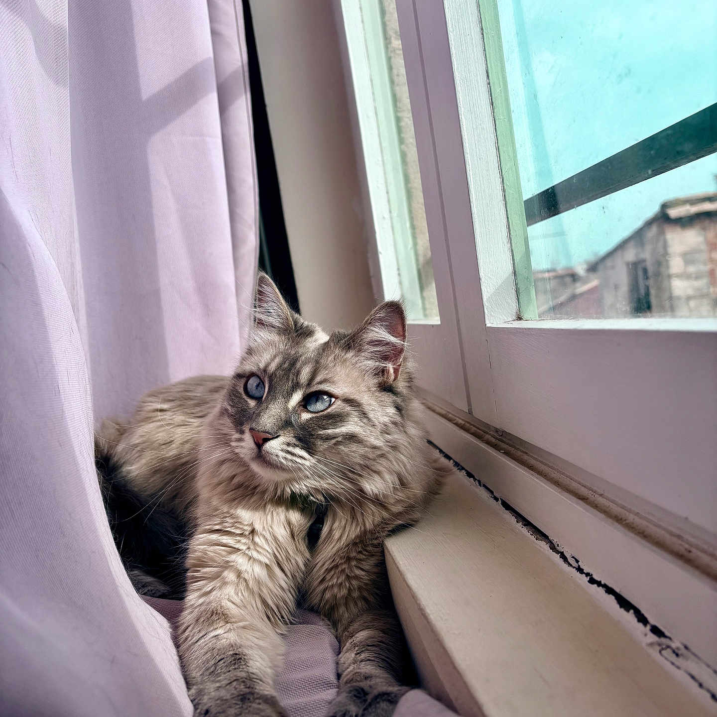 Salomé