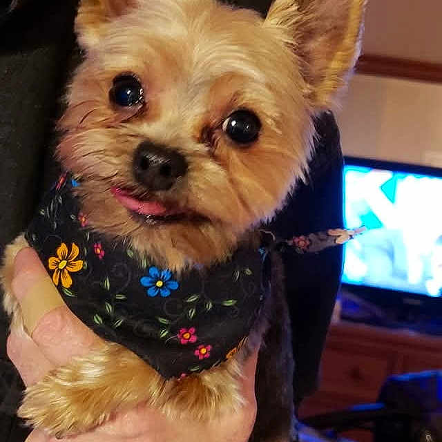 Molly