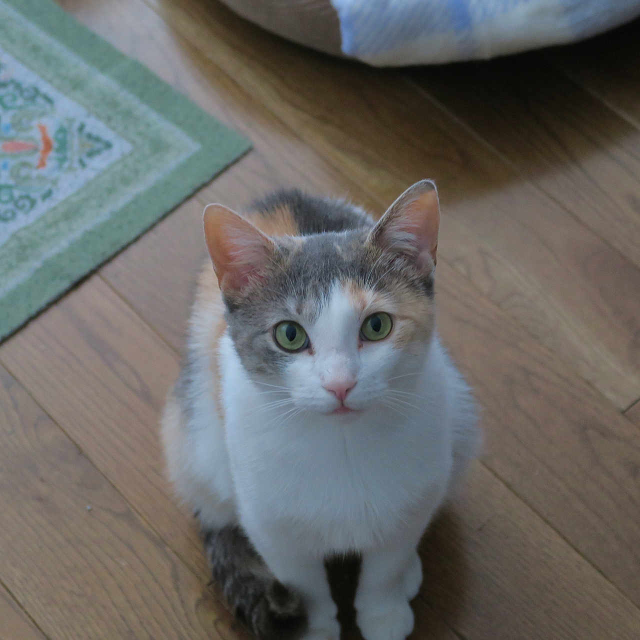 Millie