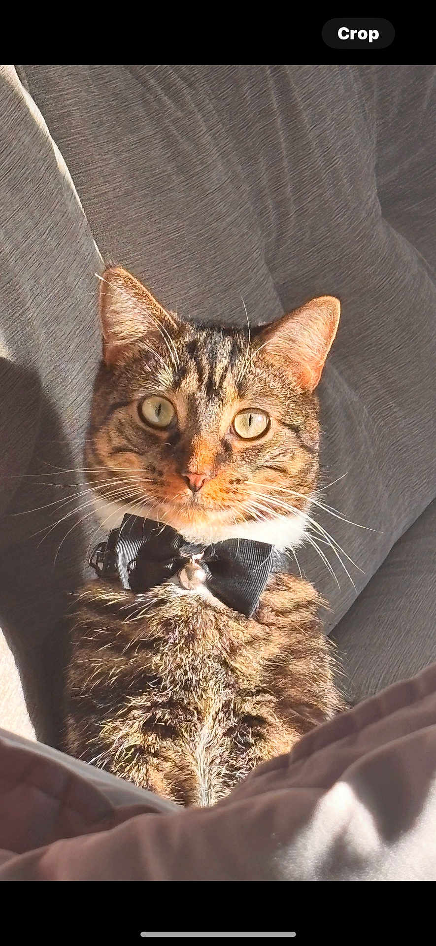 Luca