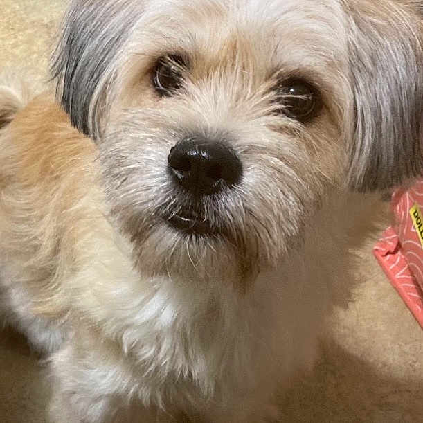 Ellie Mae