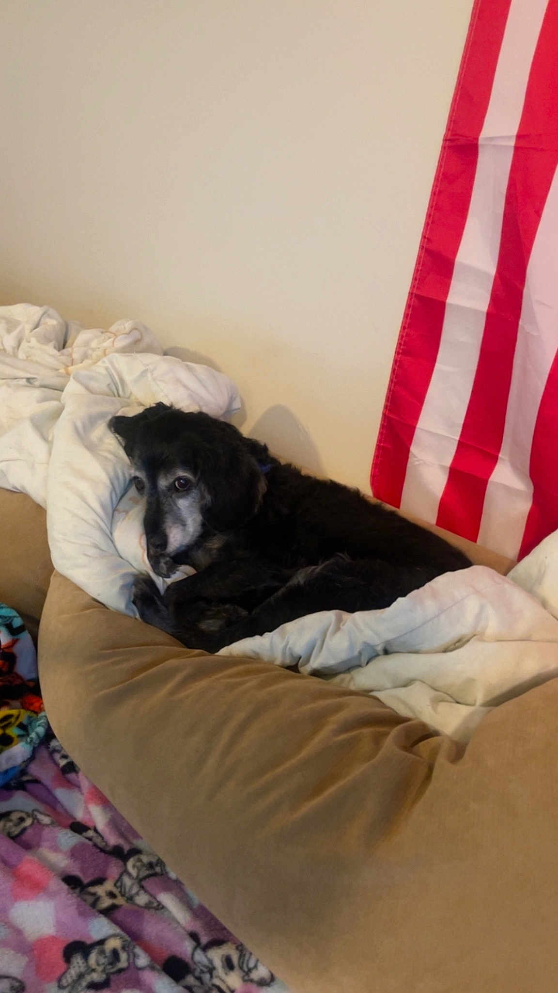 Buddy
