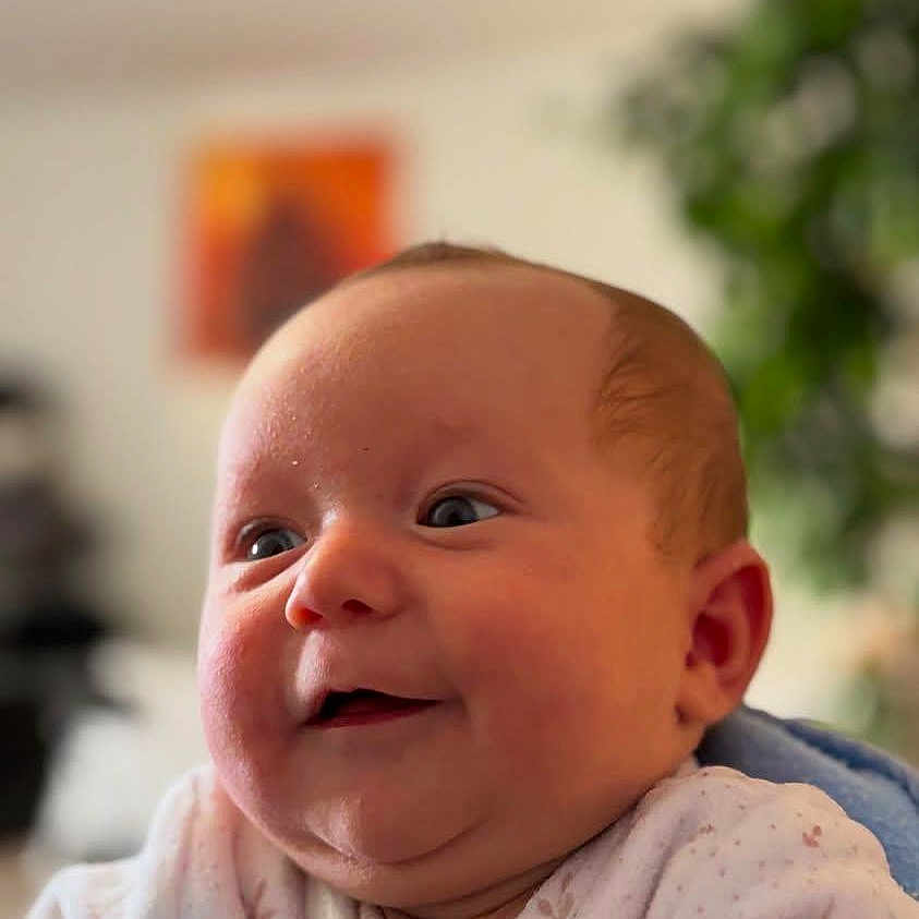 Eliona participe au concours pour gagner de l'argent avec cette photo : baby, babylaughing, bodypart, face, finger, hand, happy, head, laughing, newborn, person, photography, plant, portrait, pottedplant, smile